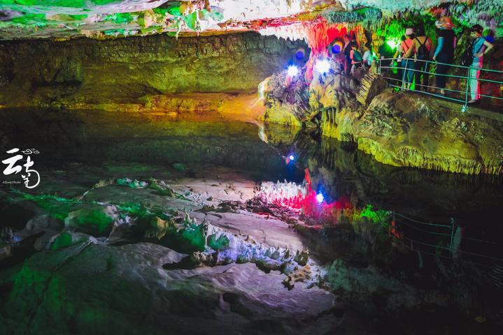 鹤舞祥瑞 龙腾龘龘 龙沙动植物园新春雪地观鹤活动